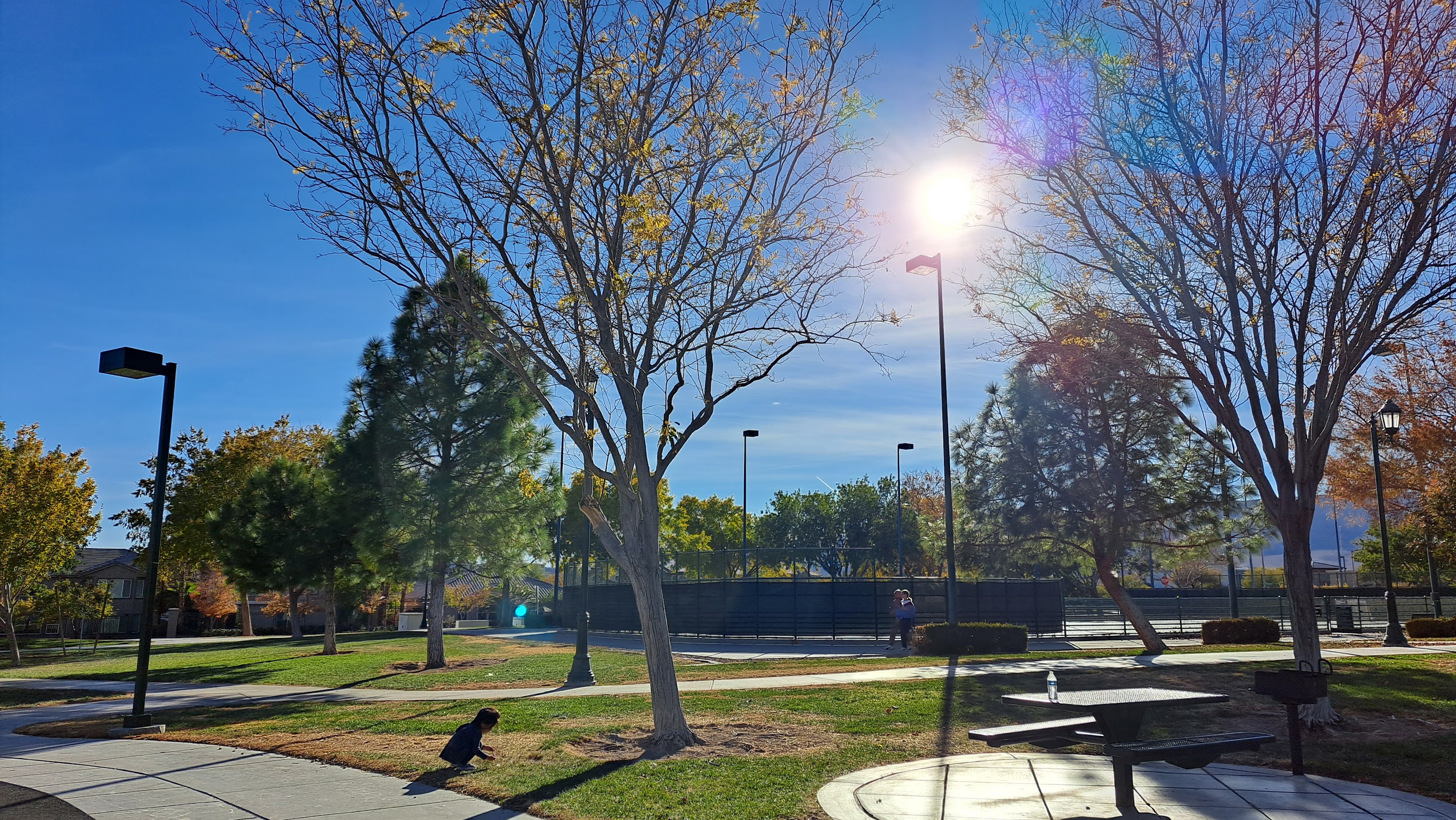 Gardens Park
