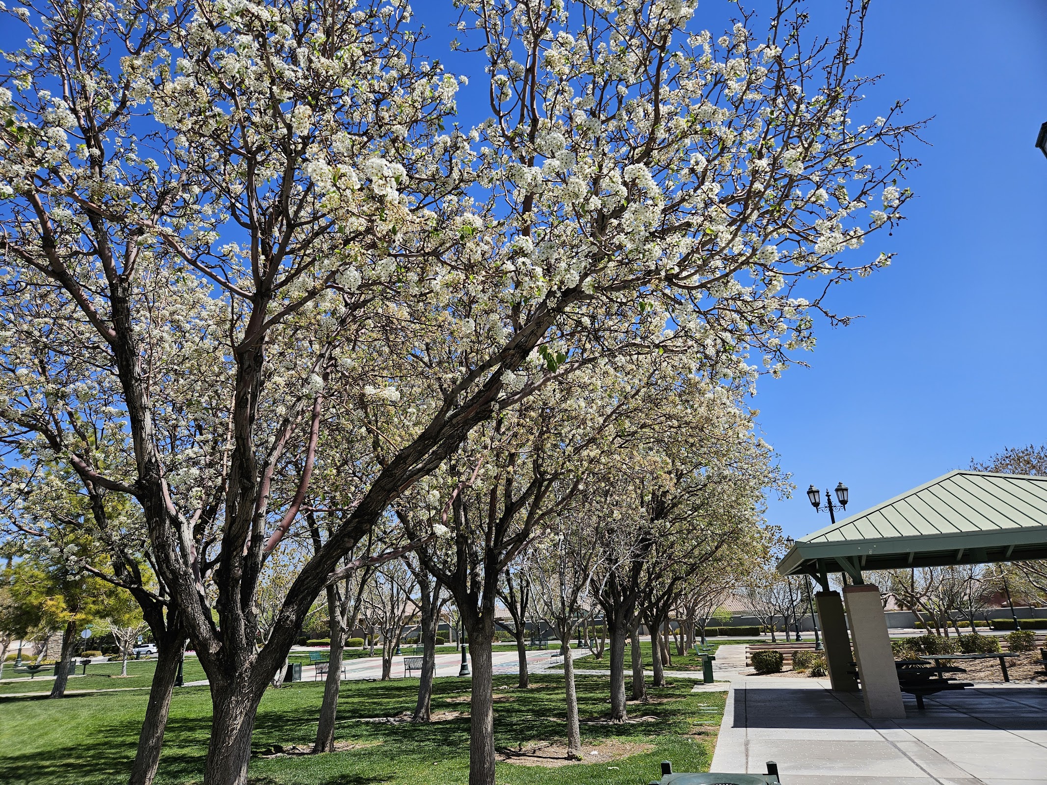 Gardens Park