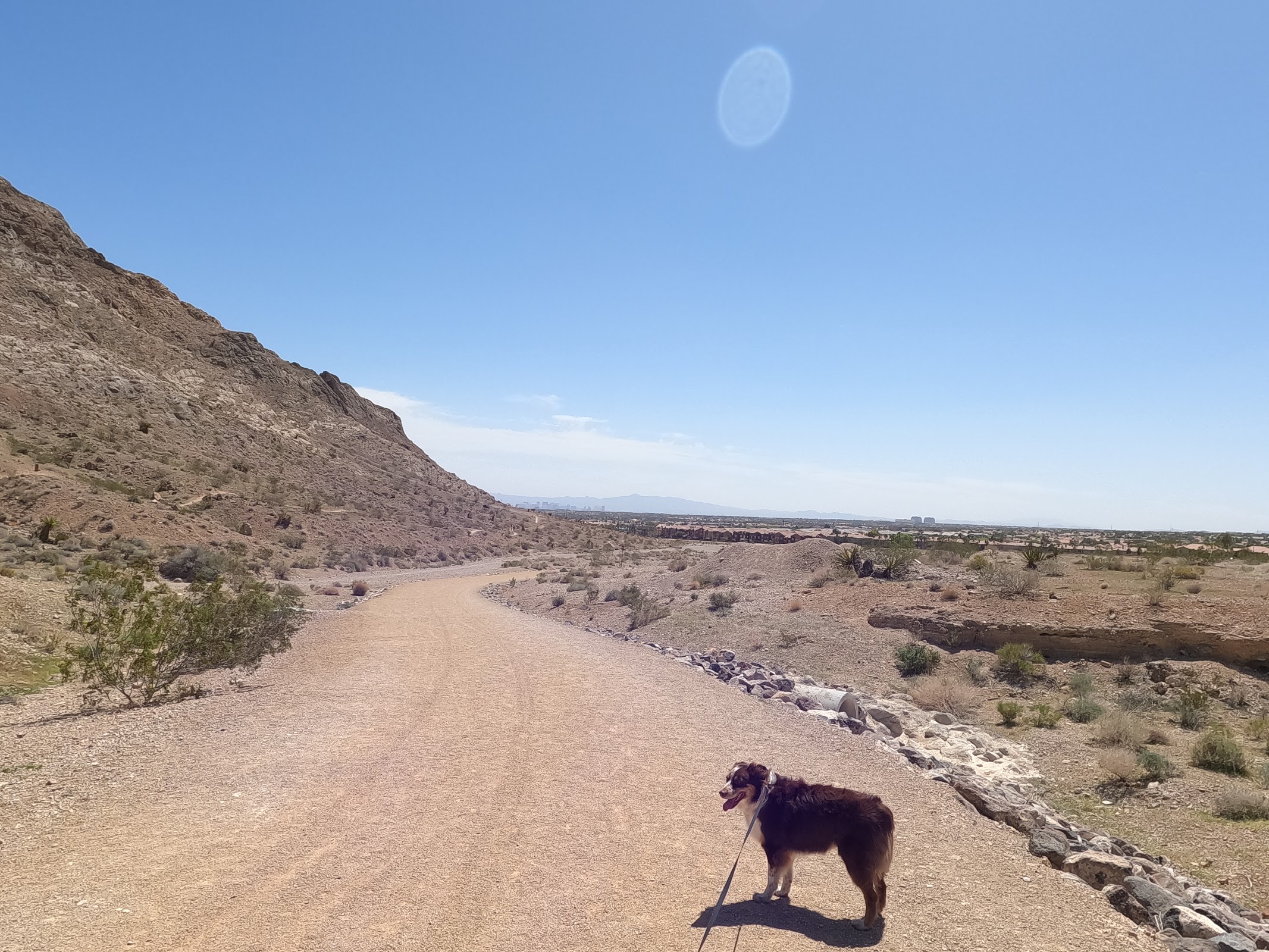 Lone Mountain Park