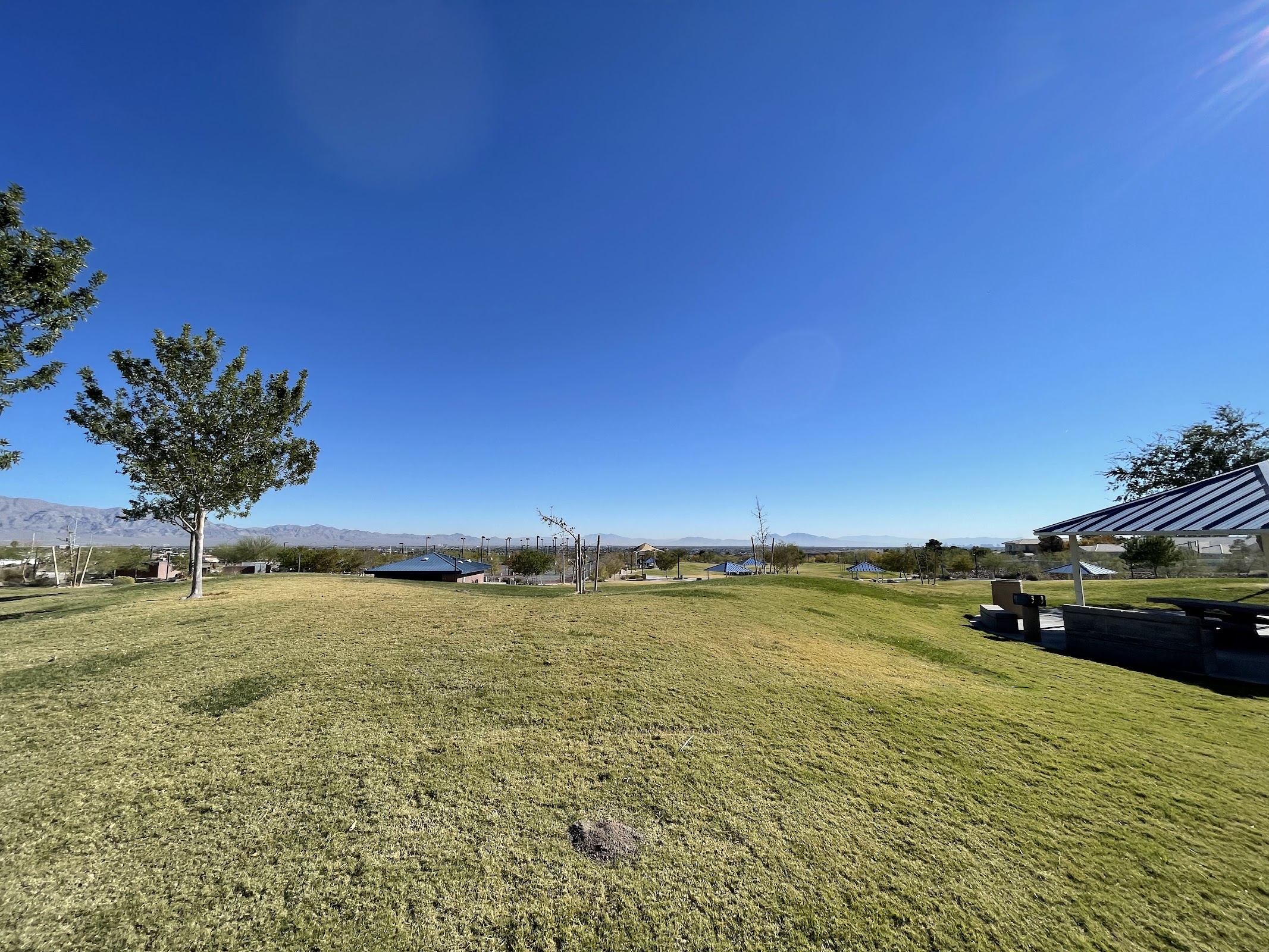 Lone Mountain Regional Park