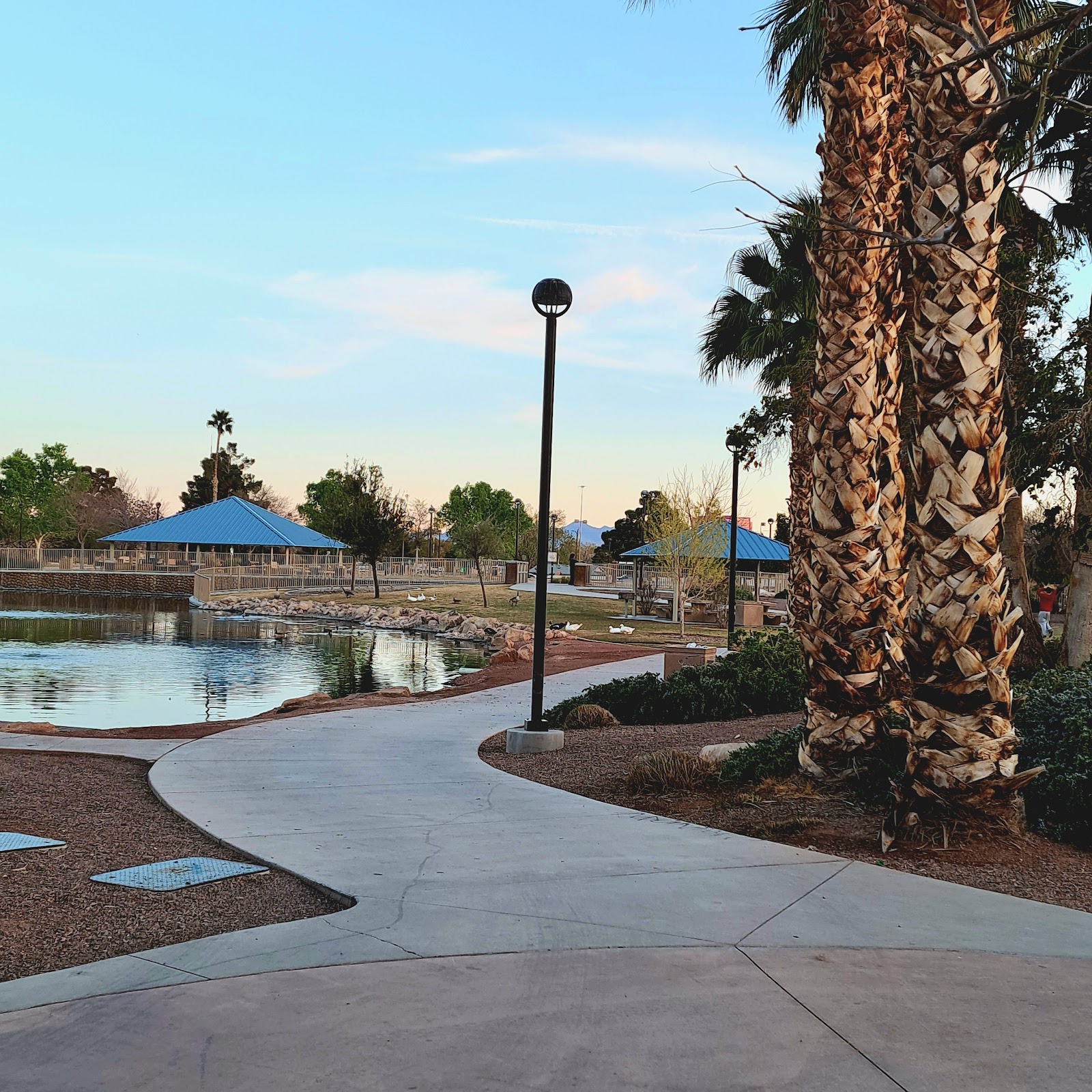 Lorenzi Park