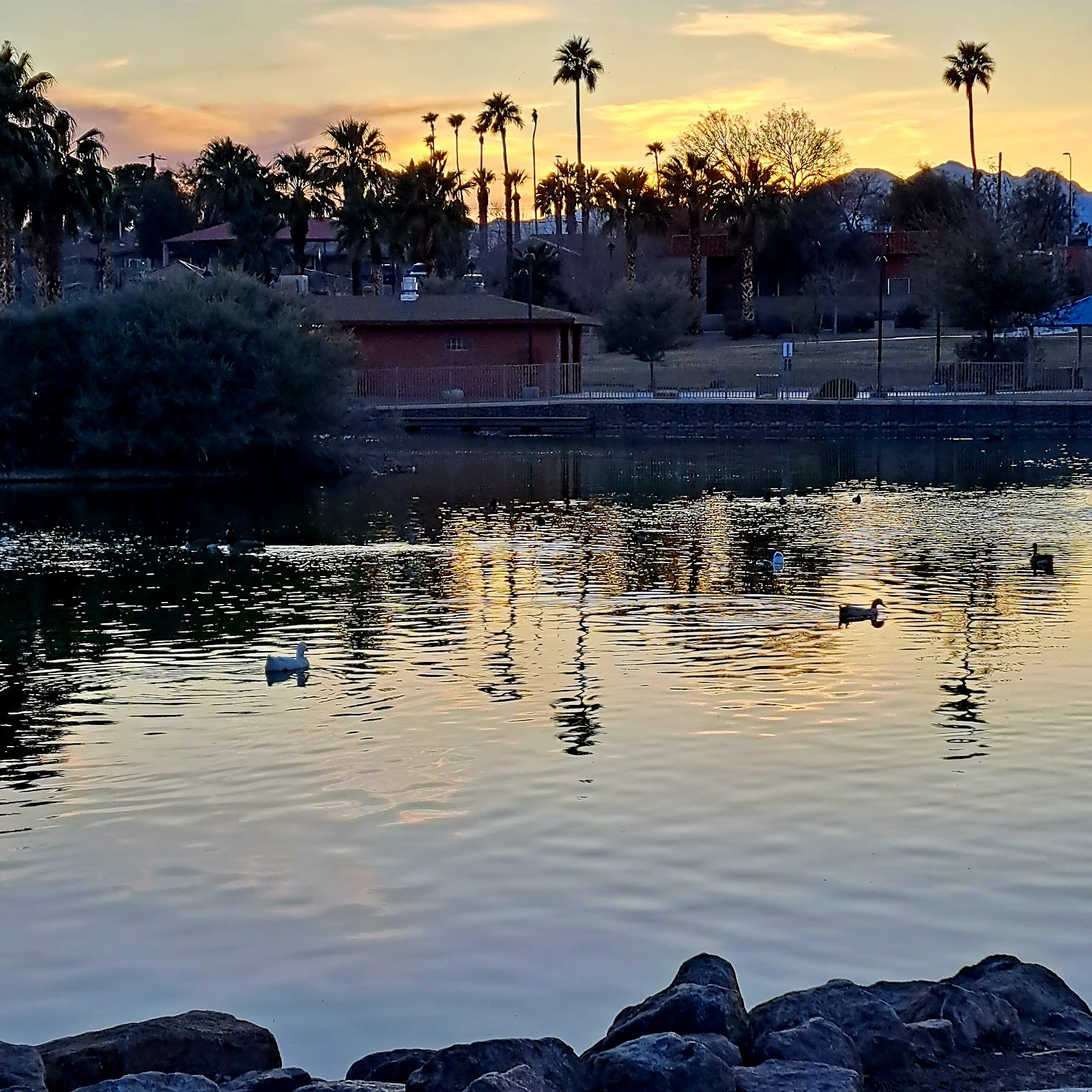 Lorenzi Park