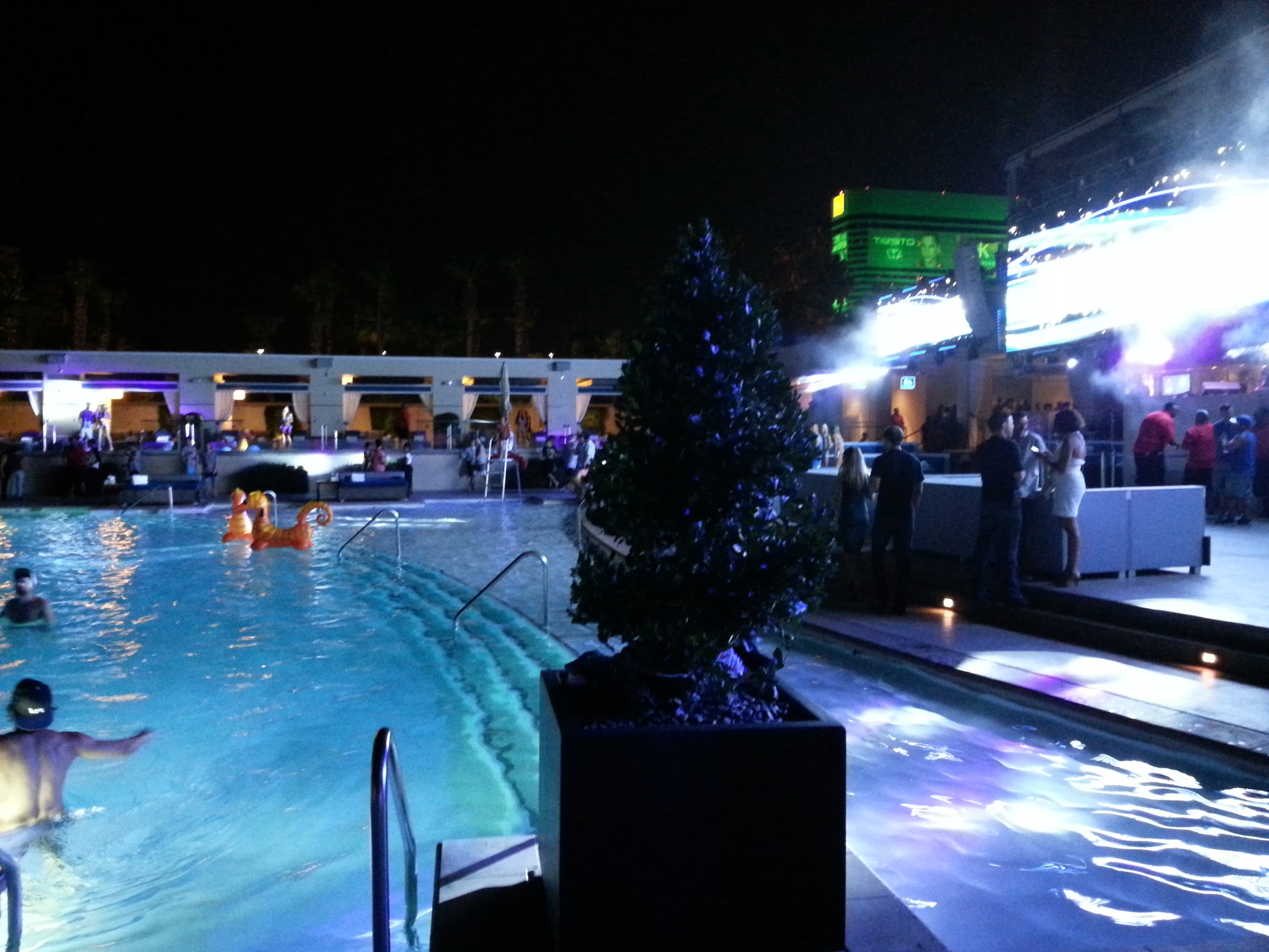 Palm Tree Beach Club