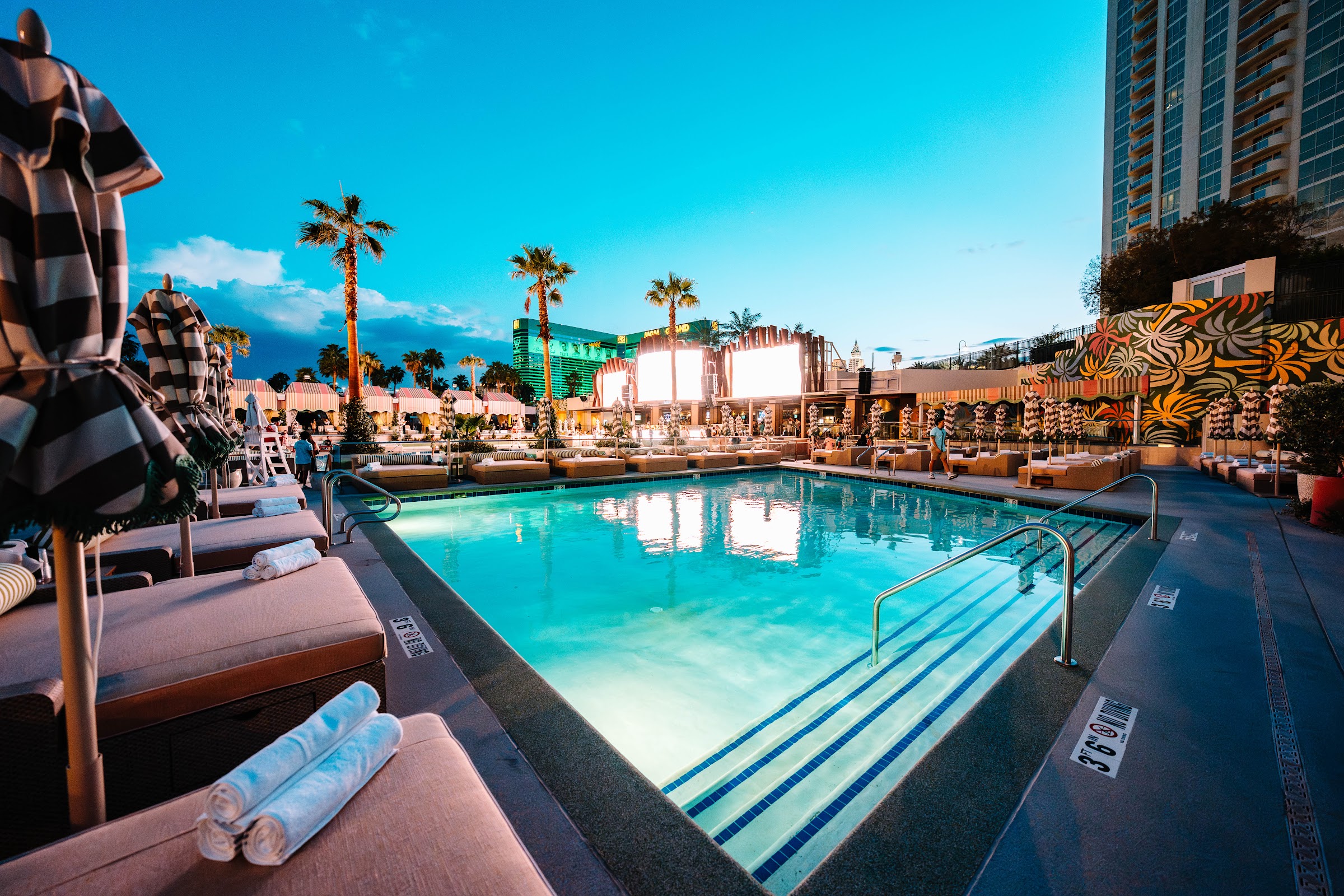 Palm Tree Beach Club