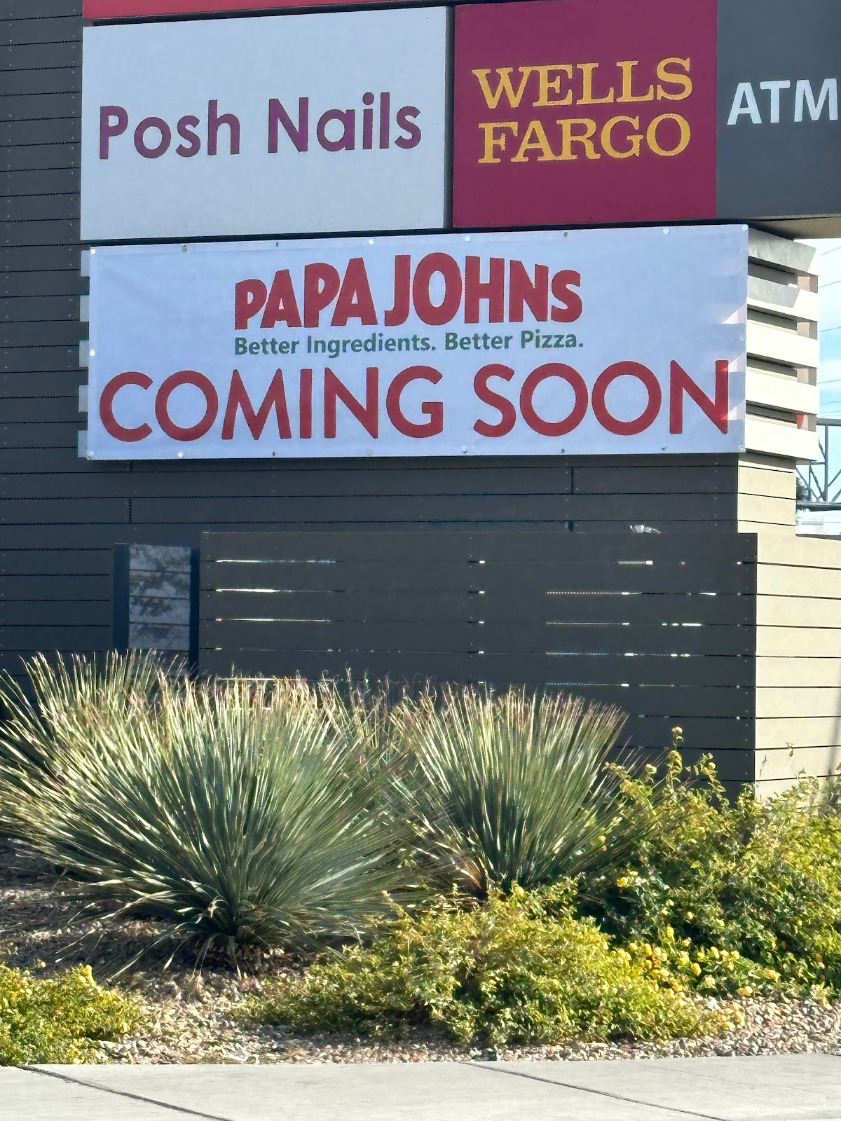 Papa Johns Pizza