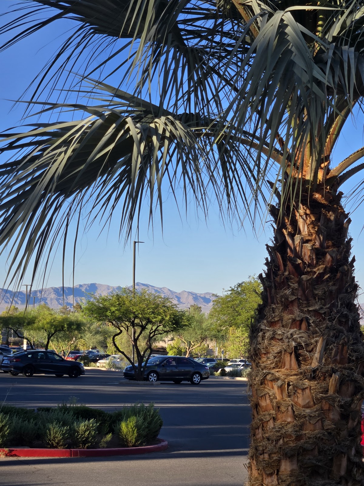 Rampart Casino