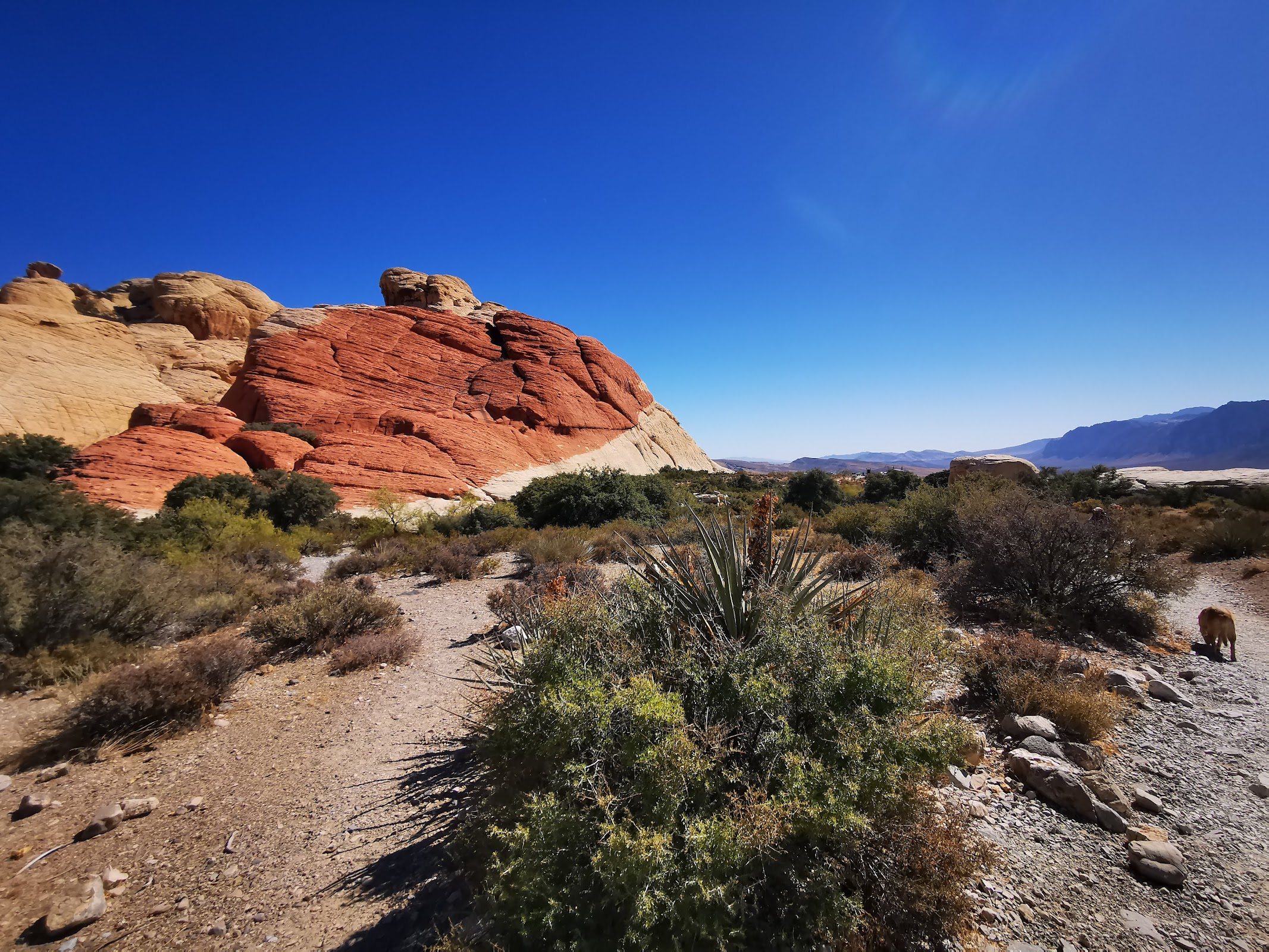 Red Rock Canyon National Conservation Area