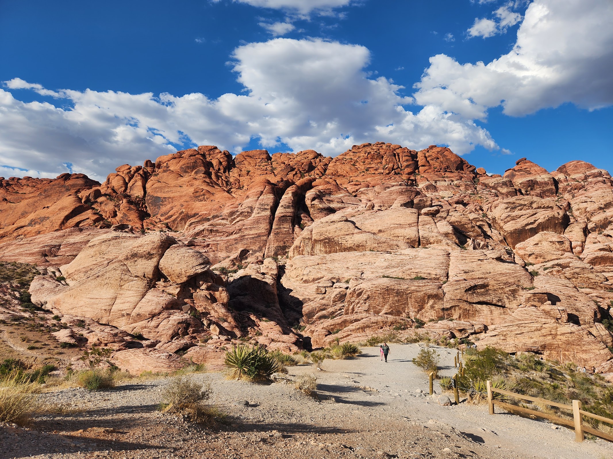 Red Rock Canyon National Conservation Area