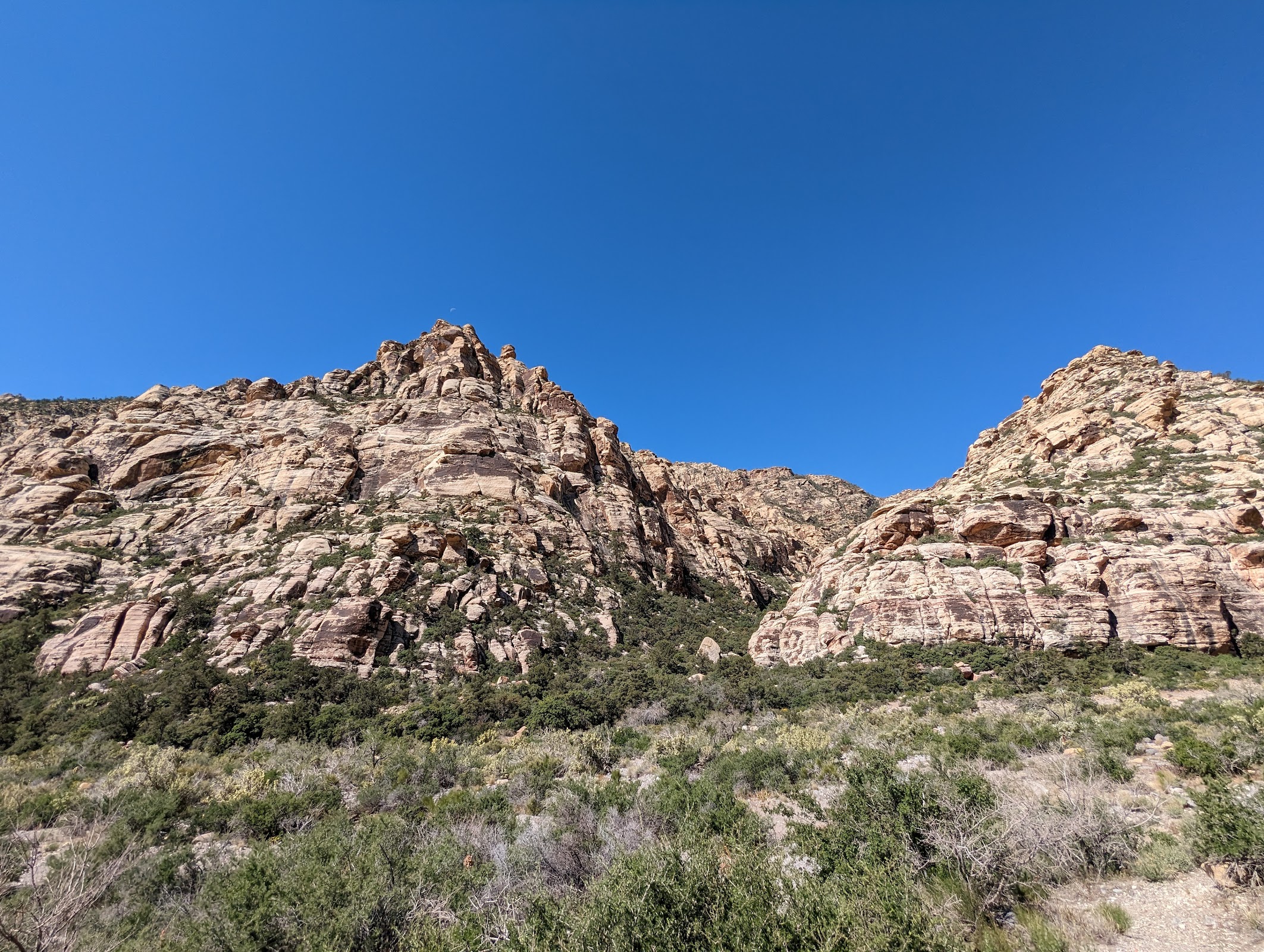 Red Rock Canyon National Conservation Area