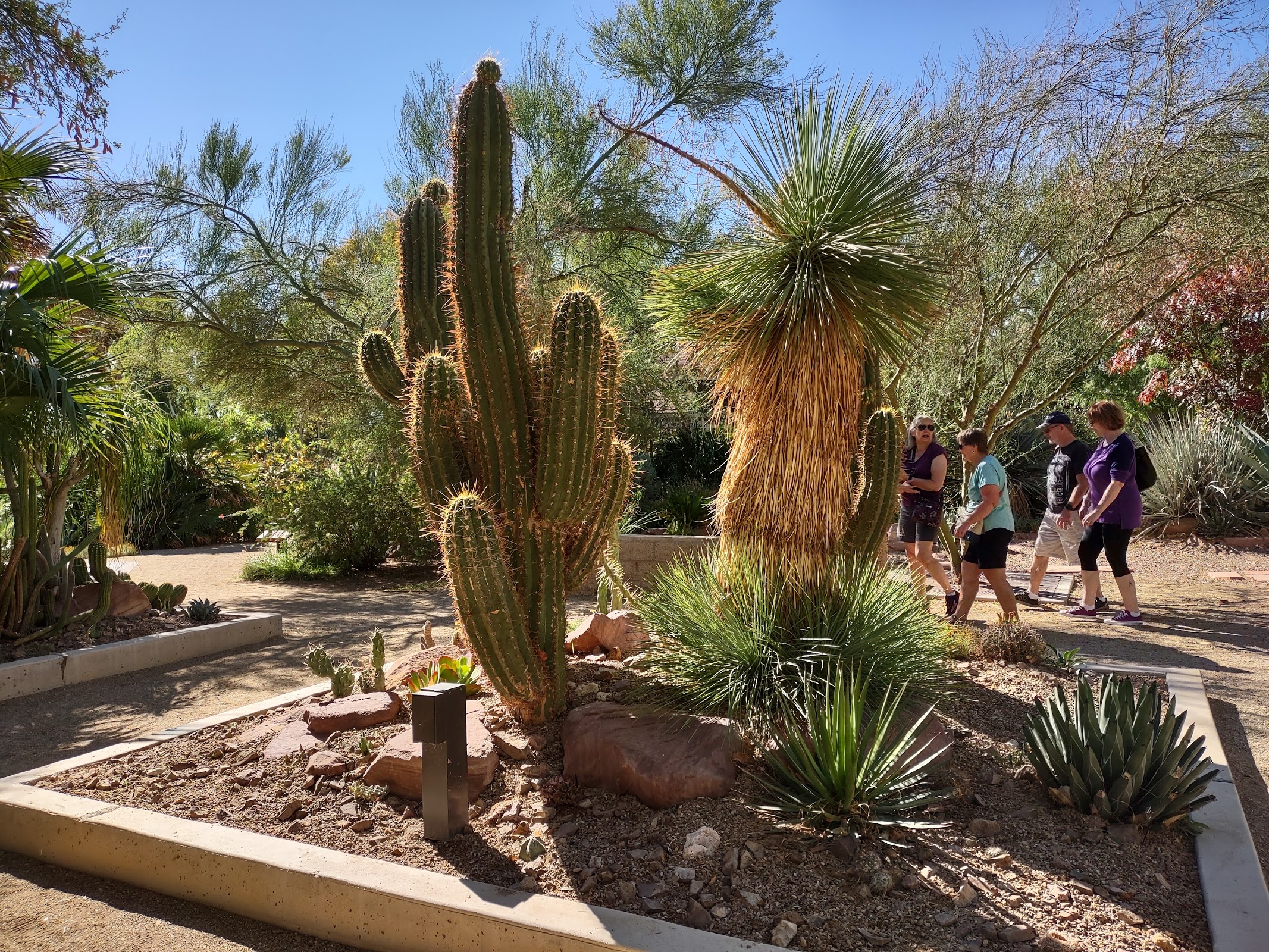 Springs Preserve